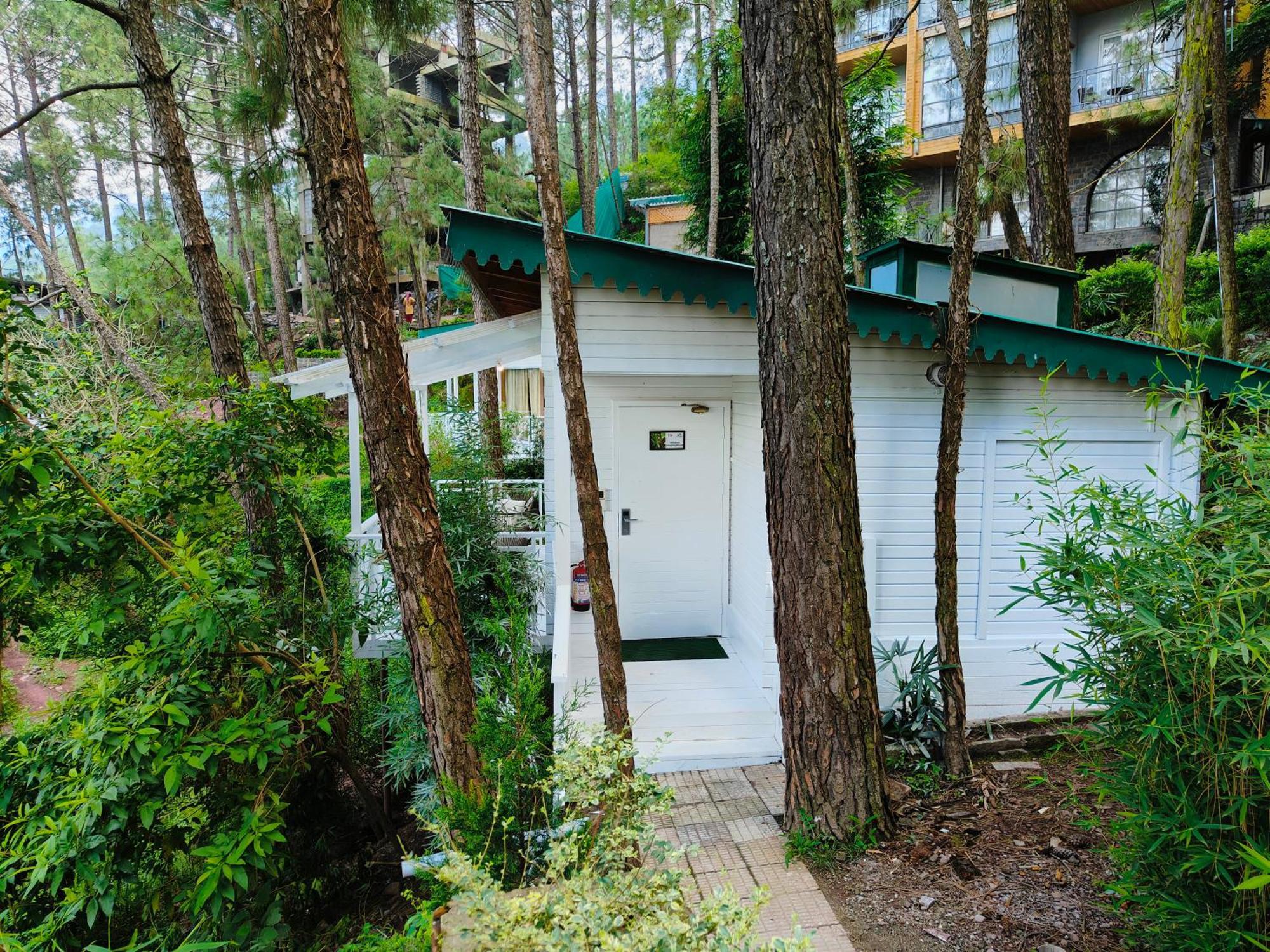 Kasauli Hills Resort Bagian luar foto
